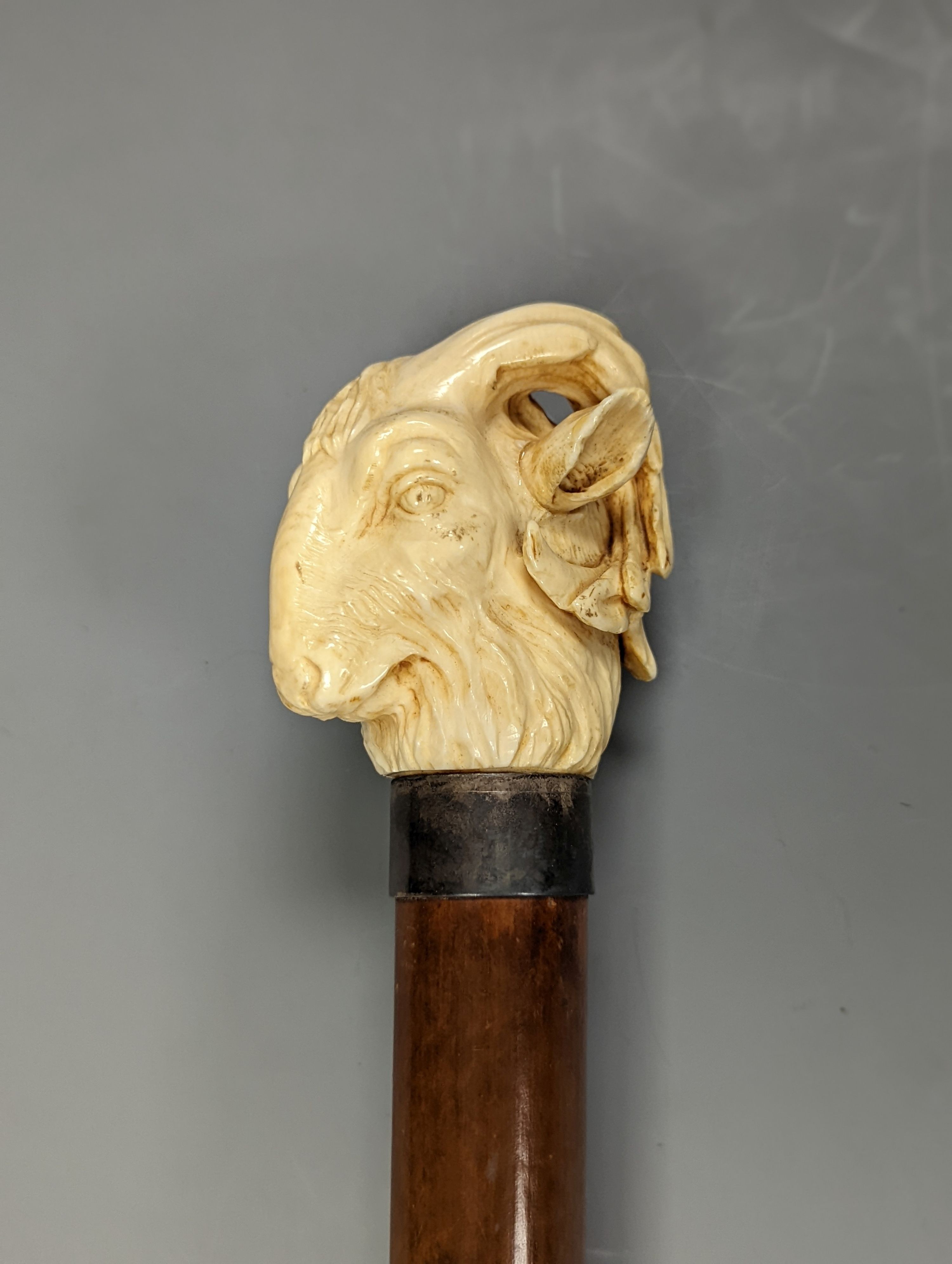 A late 19th century carved ivory ‘ram's head’ handled walking cane 89cm